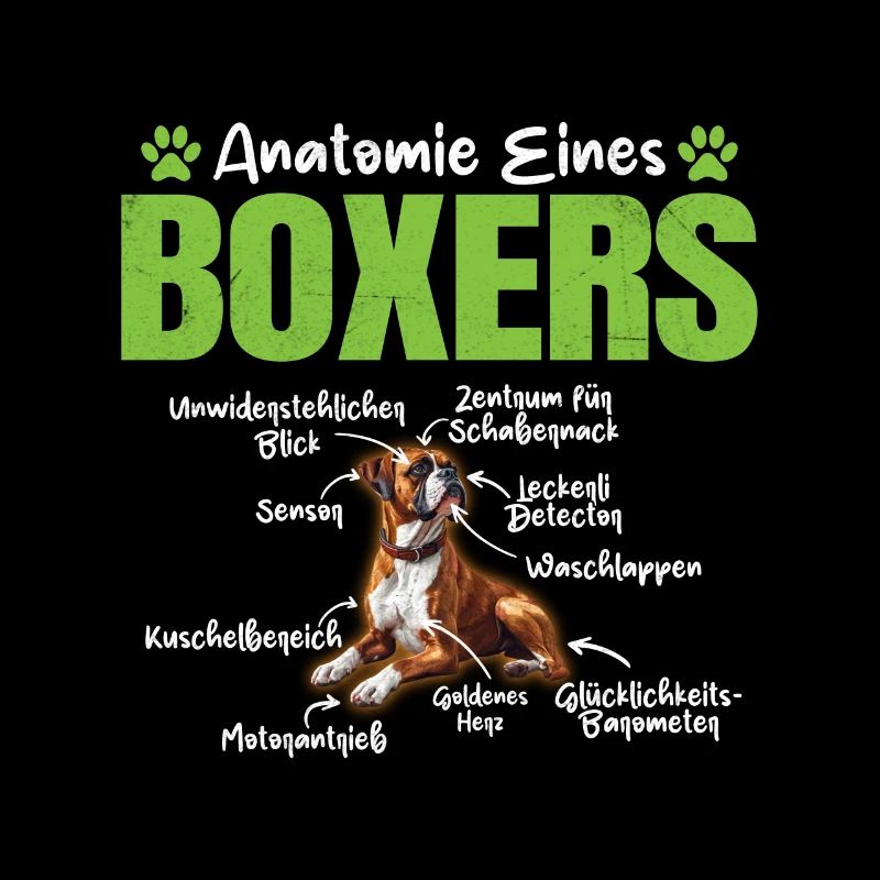 ANATOMIE EINES BOXERS Lustiges Deutscher Boxer