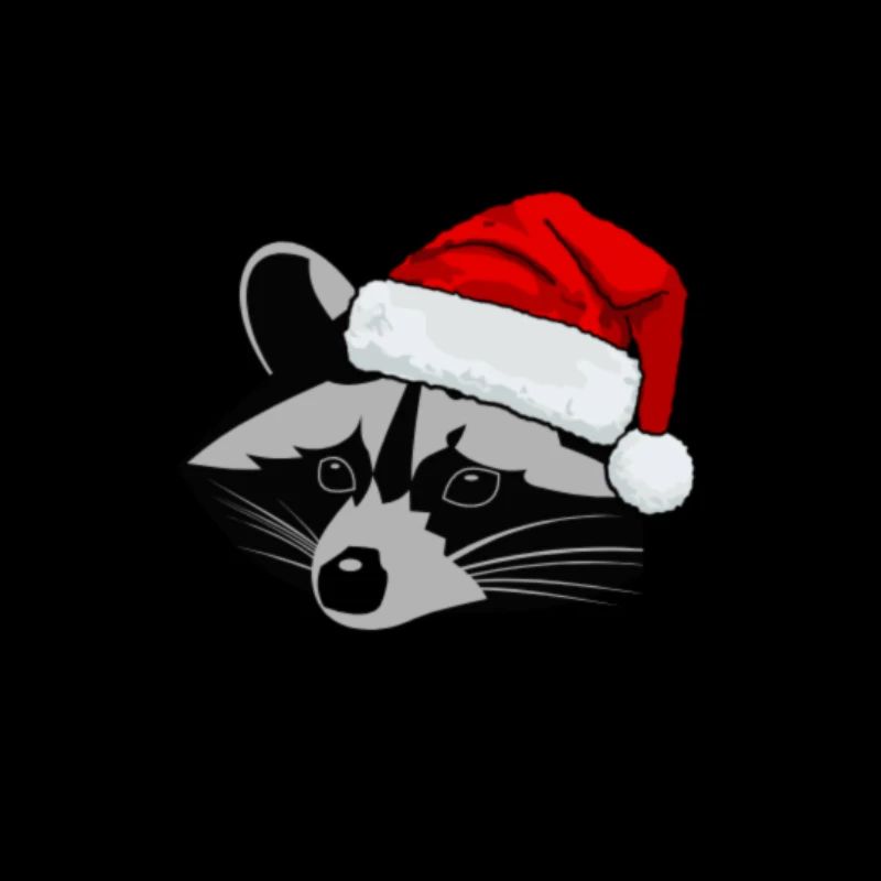 Weihnachtswaschbär