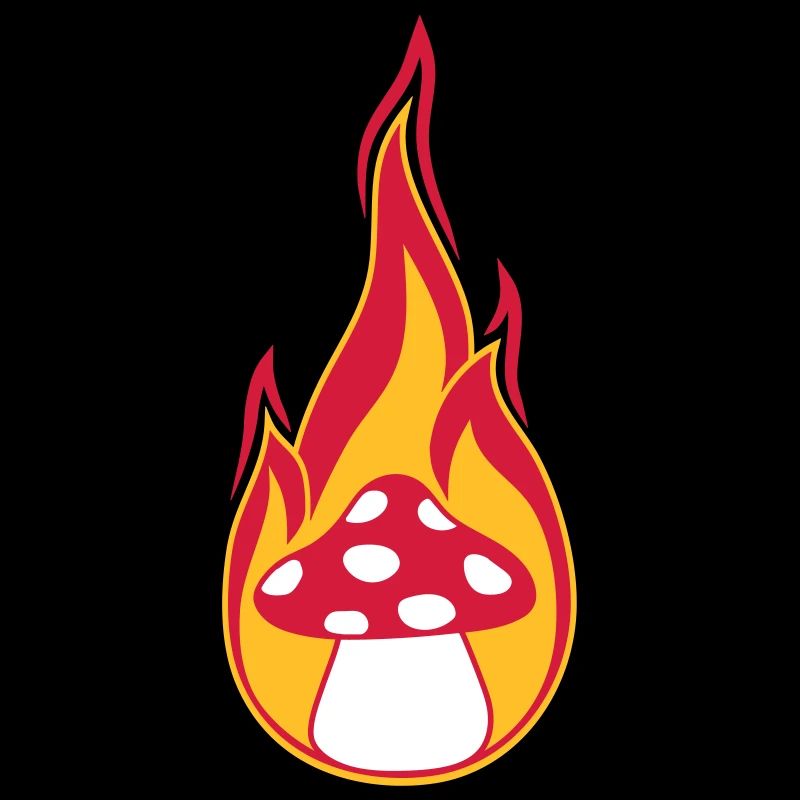 feu bruler flammes chaud champignon mouche agaric rouge p