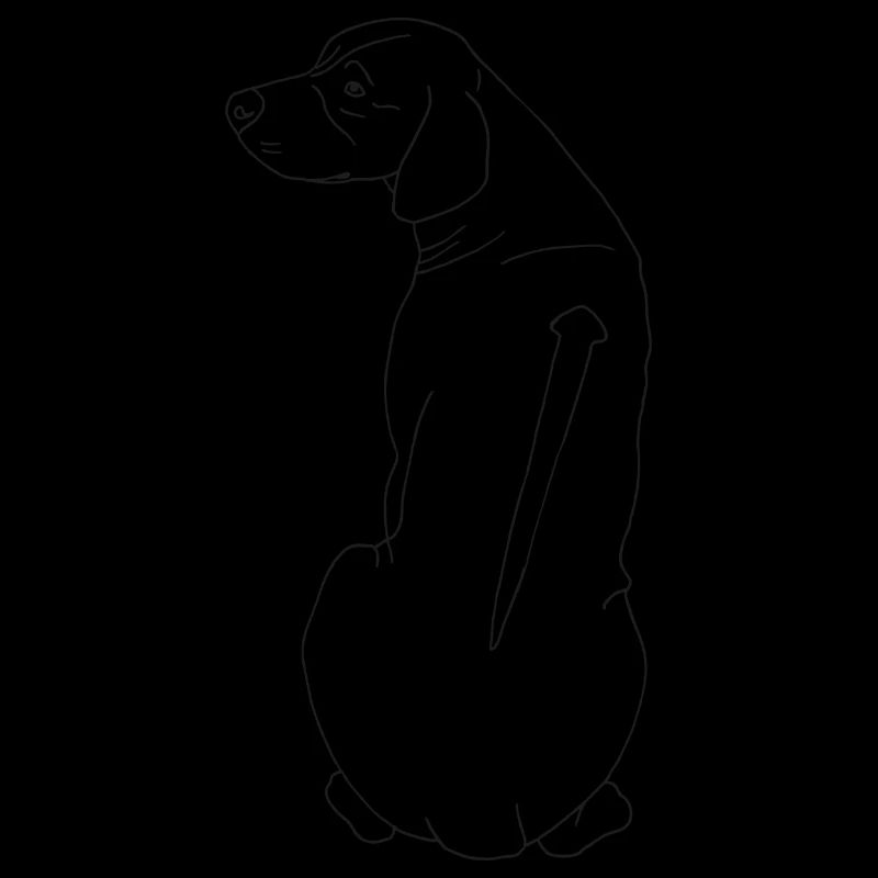 Rhodesian Ridgeback