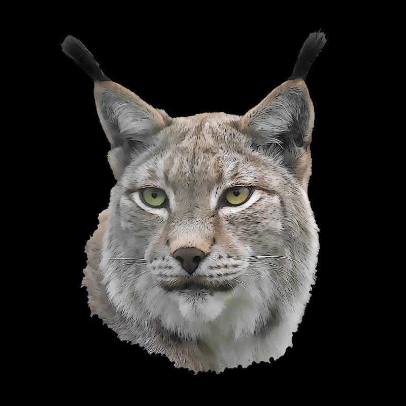 Luchs Good