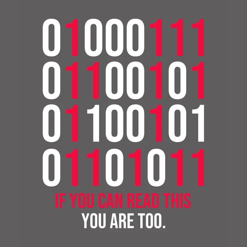 Funny Binary Codes Programmer