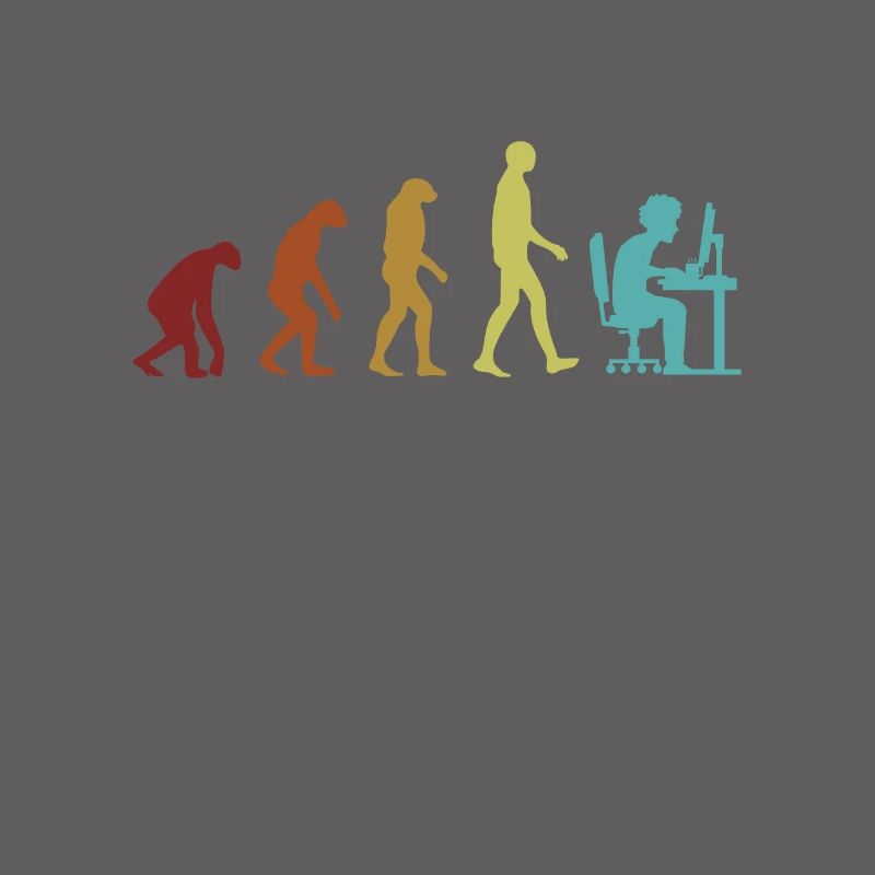 Programmeur Evolution Ingénieur logiciel Codeur