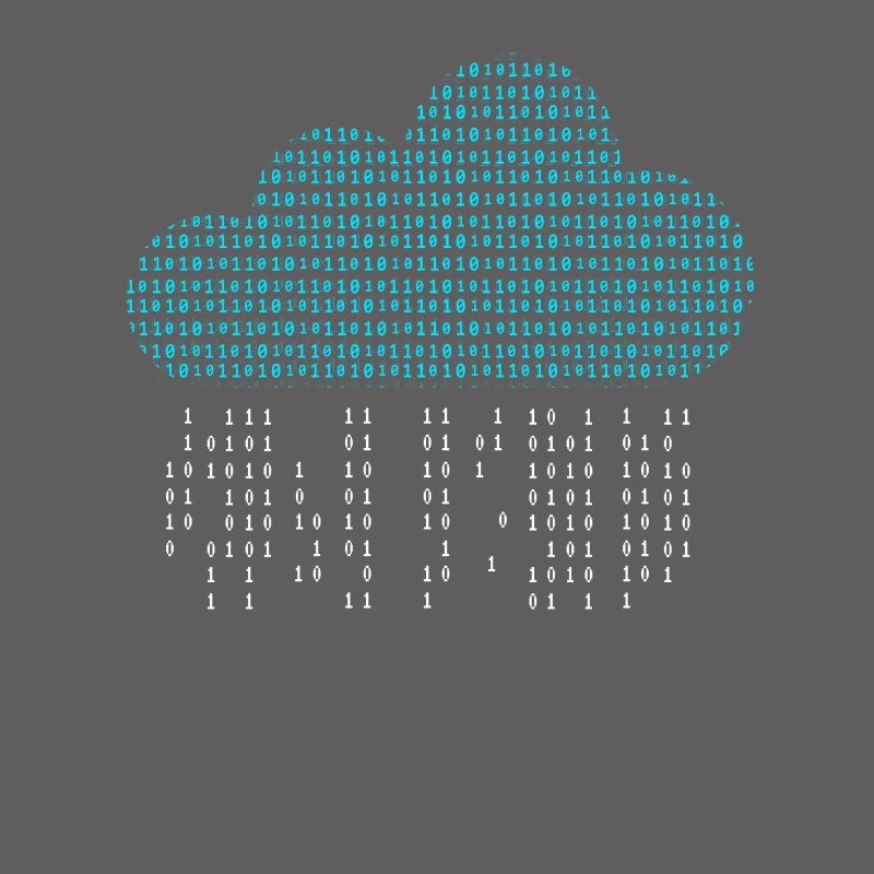 Software Engineer Binary Codes