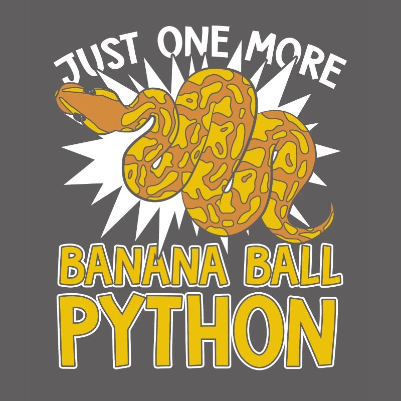 Juste un serpent de plus Python Banana Ball Python