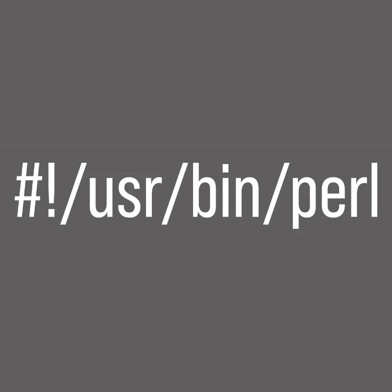 Usr Bin Perl Programmer Programming Languager Meme