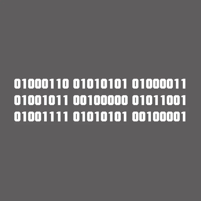 Fuck you binary code