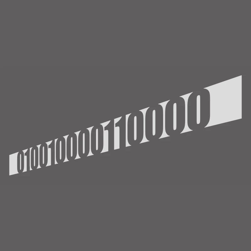 Binary Code Program Language