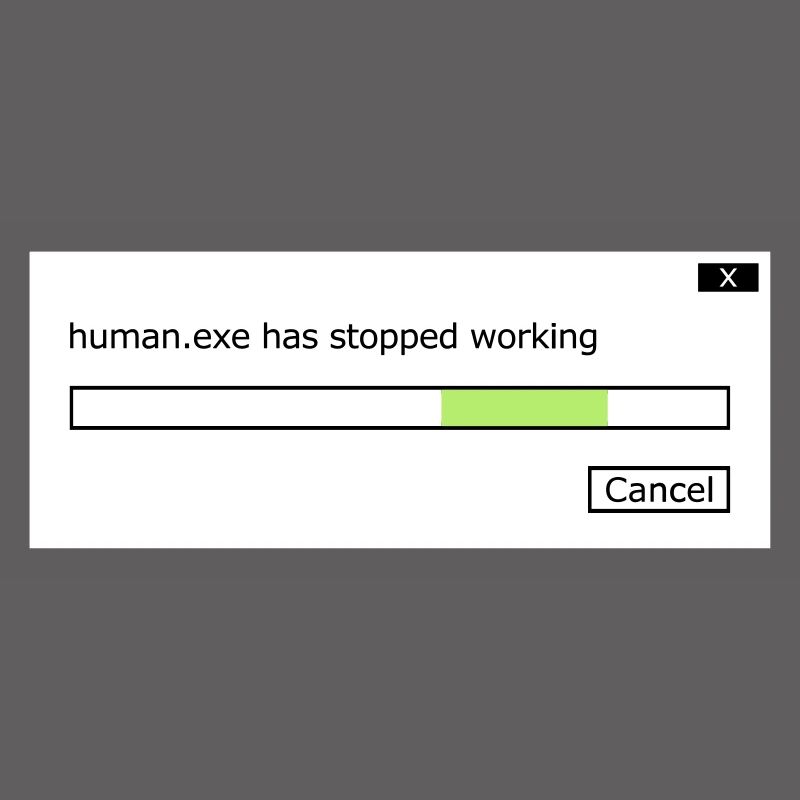 human.exe has stopped working saying human .exe