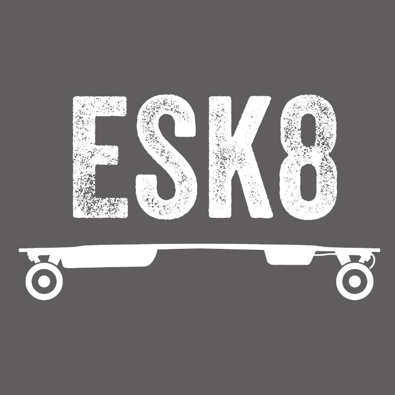 E-Longboard E-Skateboard esk8
