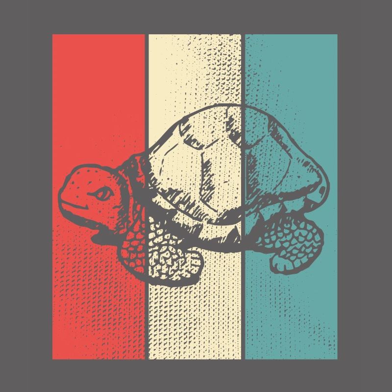 Turtle retro style