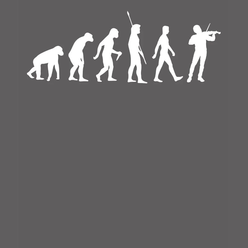 Evolution Violon - Violoniste