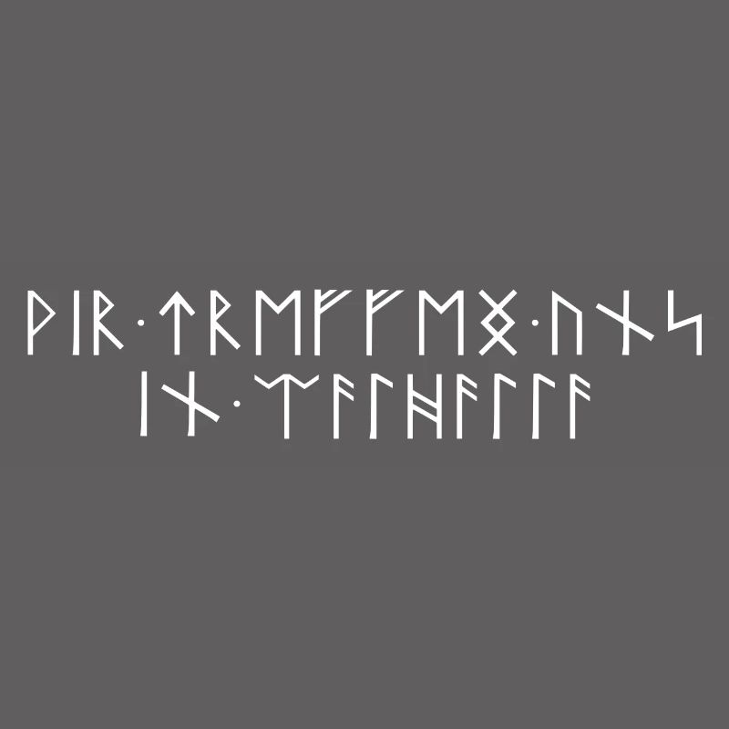 We meet in Valhalla Runic Script Teutons