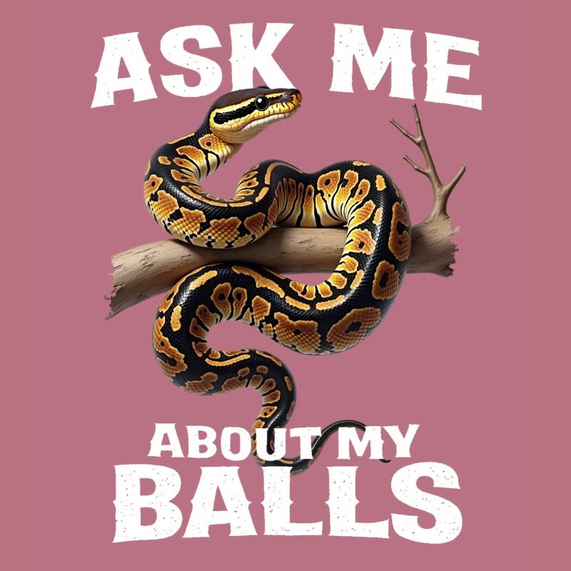 Python roi Serpents Amateurs de terrarium Python