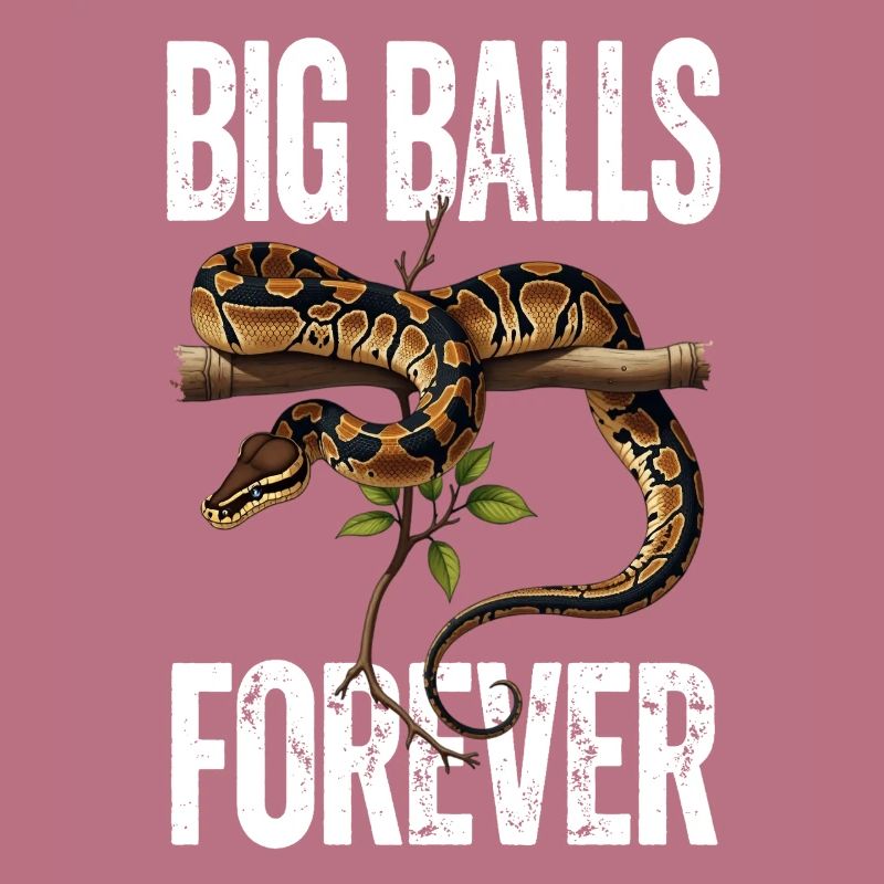 Python roi Serpents Amateurs de terrarium Python