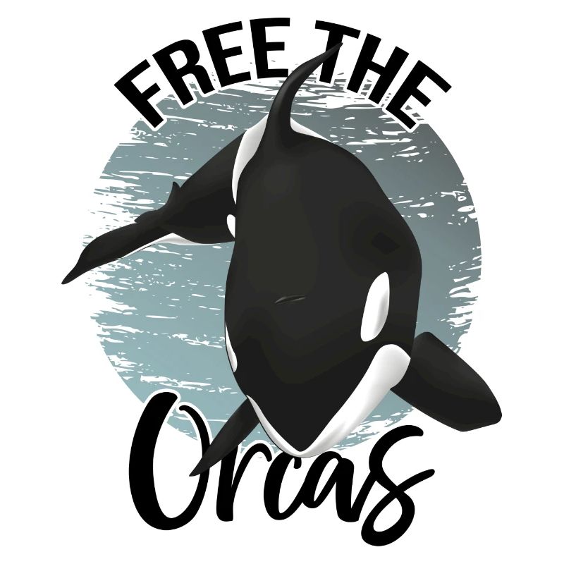 Orca walvis