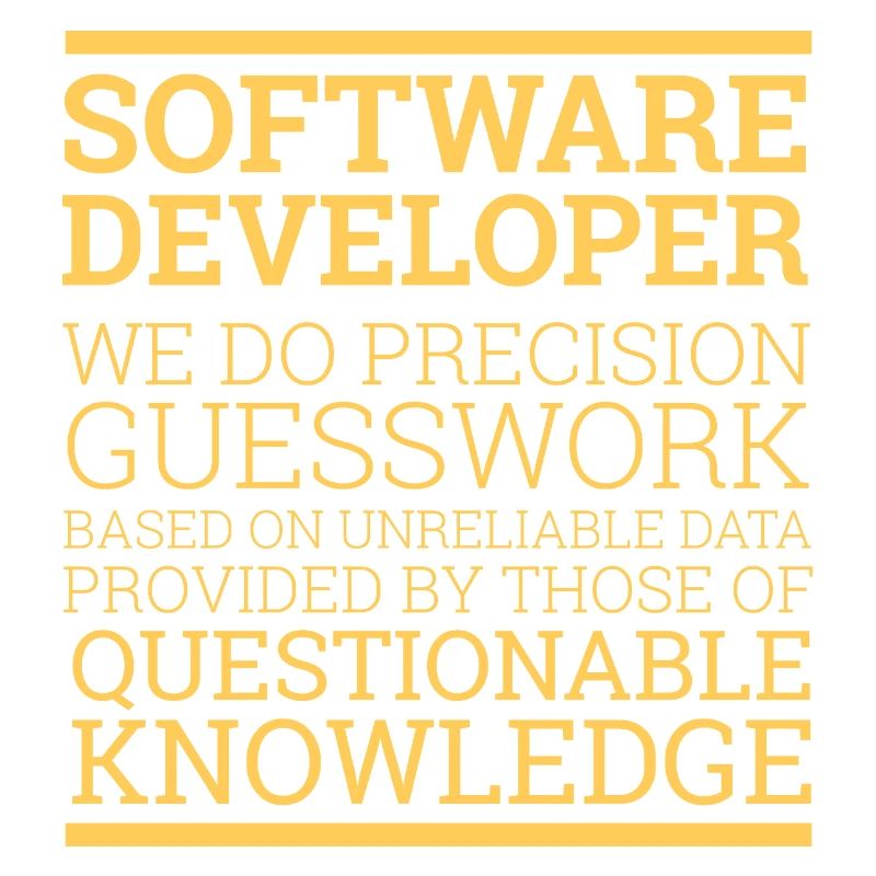 "Software Developer" | Programmierer