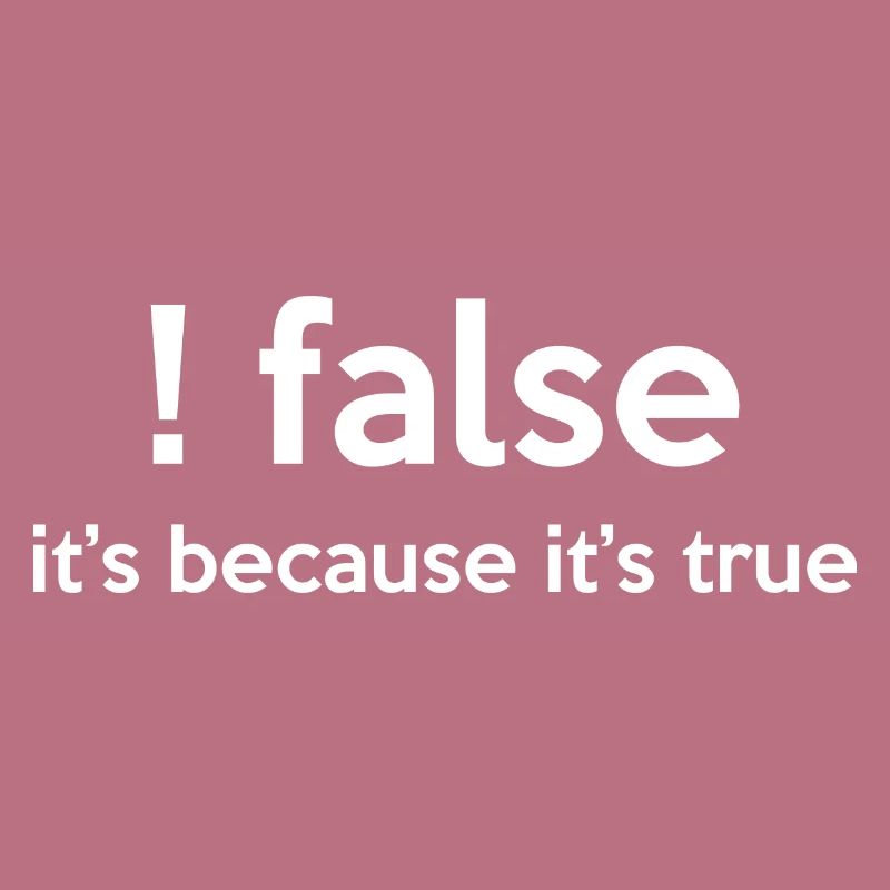 False It's Funny Because It's True Programmer Comp