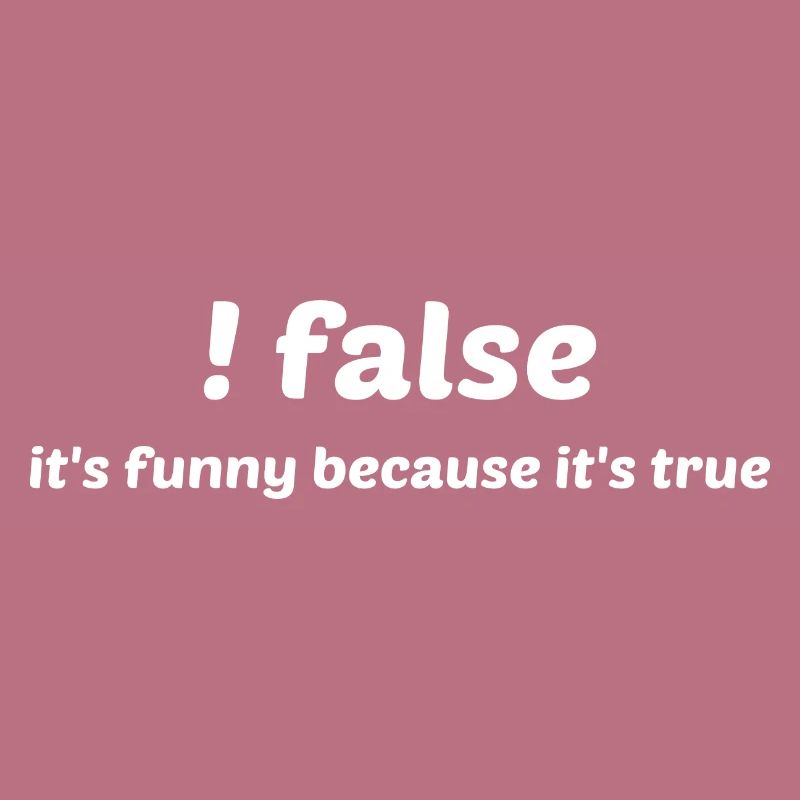 False It's Funny Because It's True Programmer Comp
