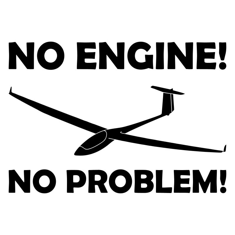 No engine no problem glider pilot saying pilot