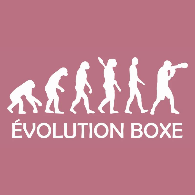 évolution boxe / evolution boxeur