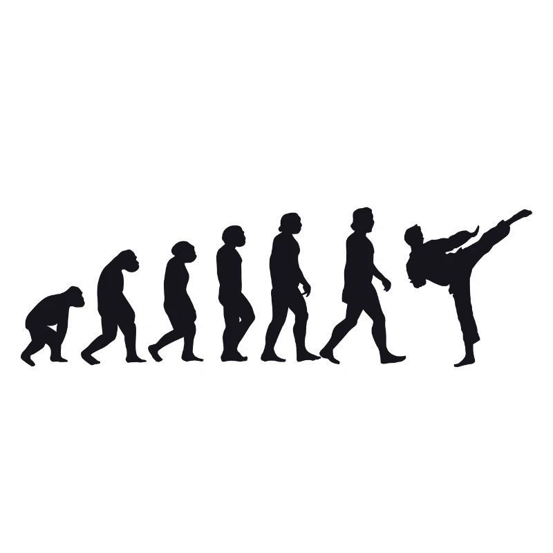Évolution du karaté
