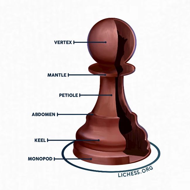 Lichess Pawn