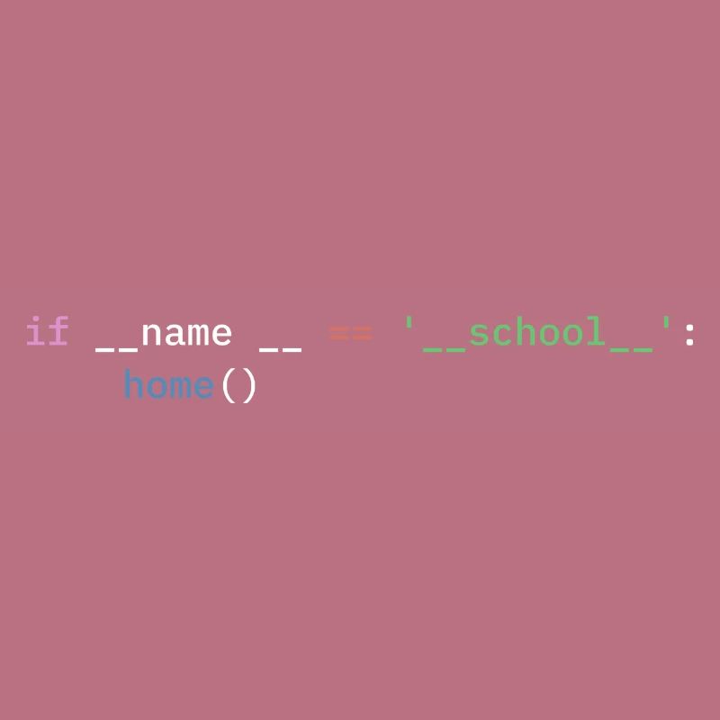 Python Programmer School Student Funny