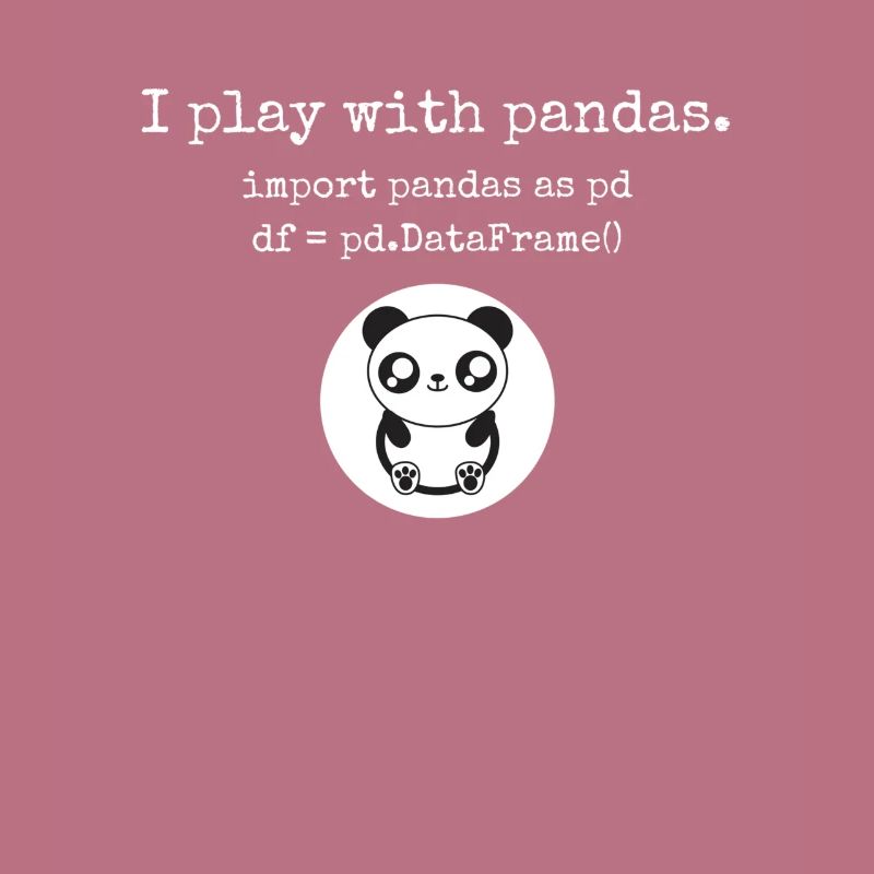 Python Programming playing with pandas