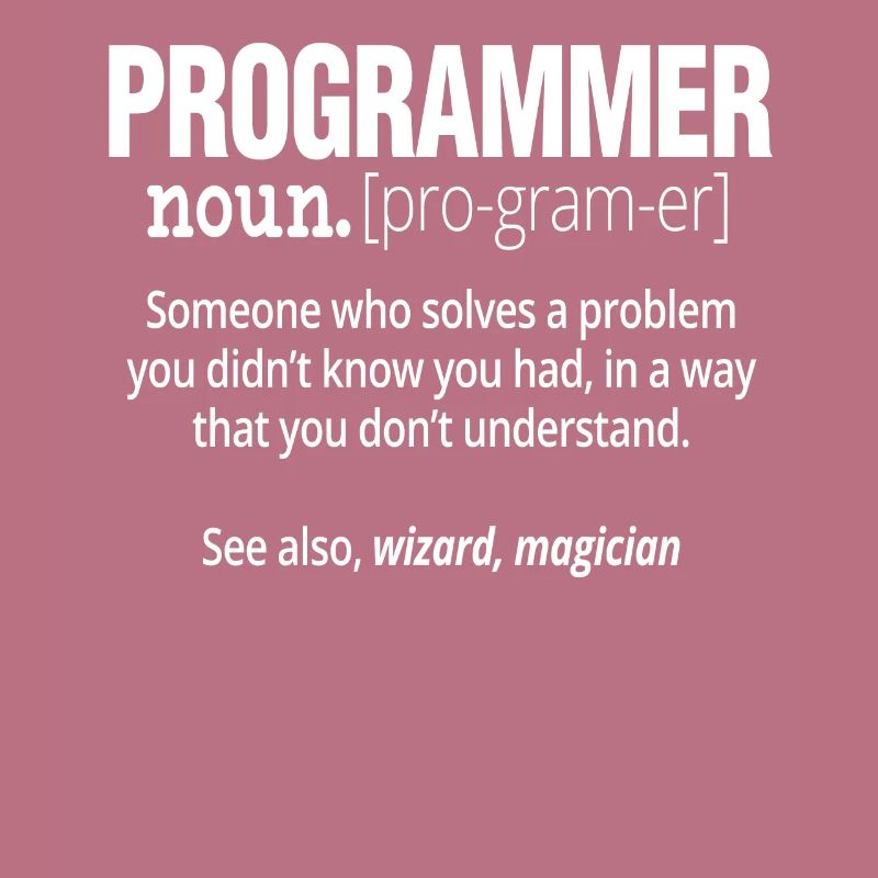 Programmeur Nom Funny Software Engineer Coder