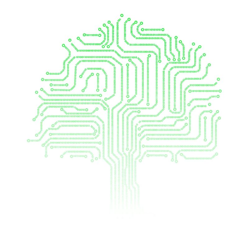 Binary tree computer nerd geek computer scientist