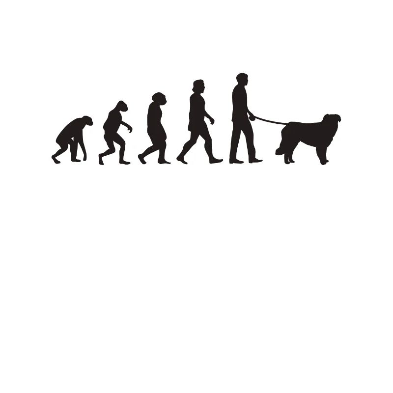 Kuvasz Evolution
