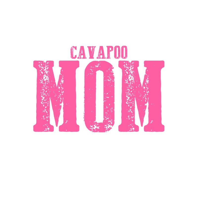 Cavapoo mom Dog