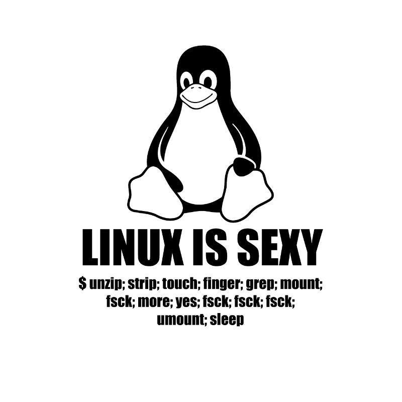 Linux Root SUDO Unix Shell Sexy funny gift