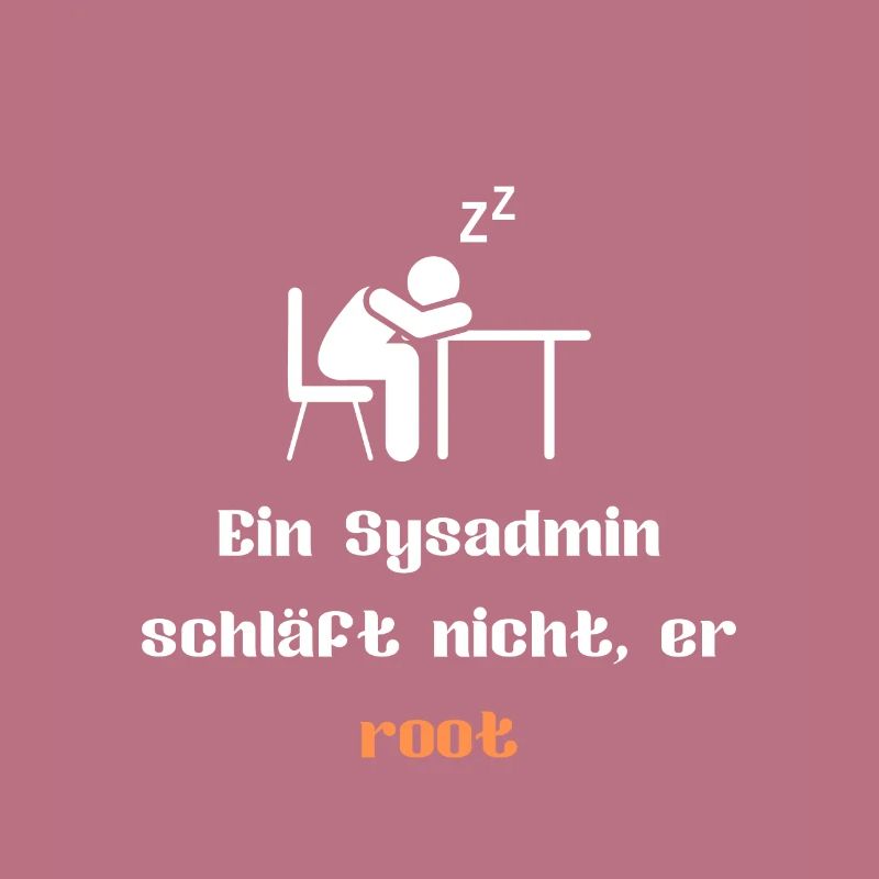 Admin / Informatiker / Computer / Programmierer