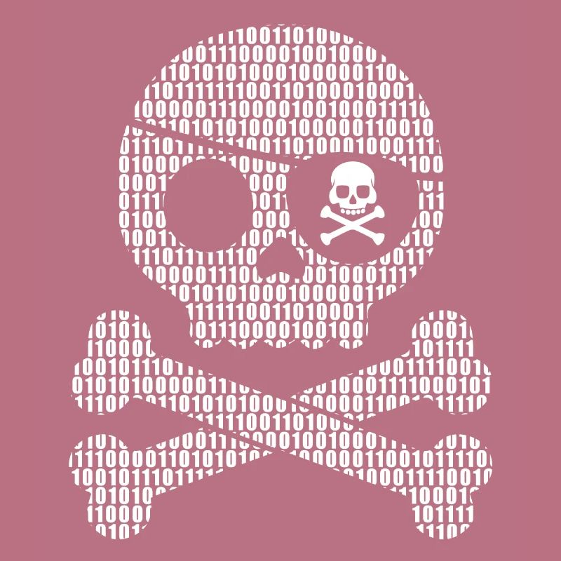 Digital Pirate Binary Code | Digital skull