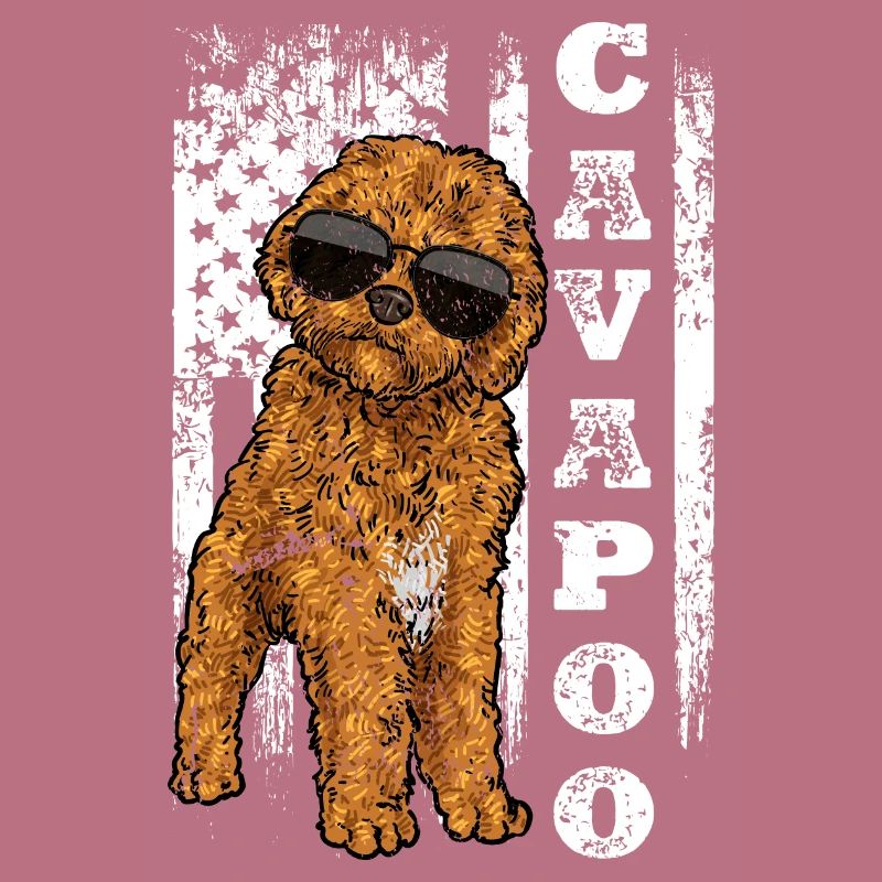 Cavapoo Cavoodle Capoodle Dog
