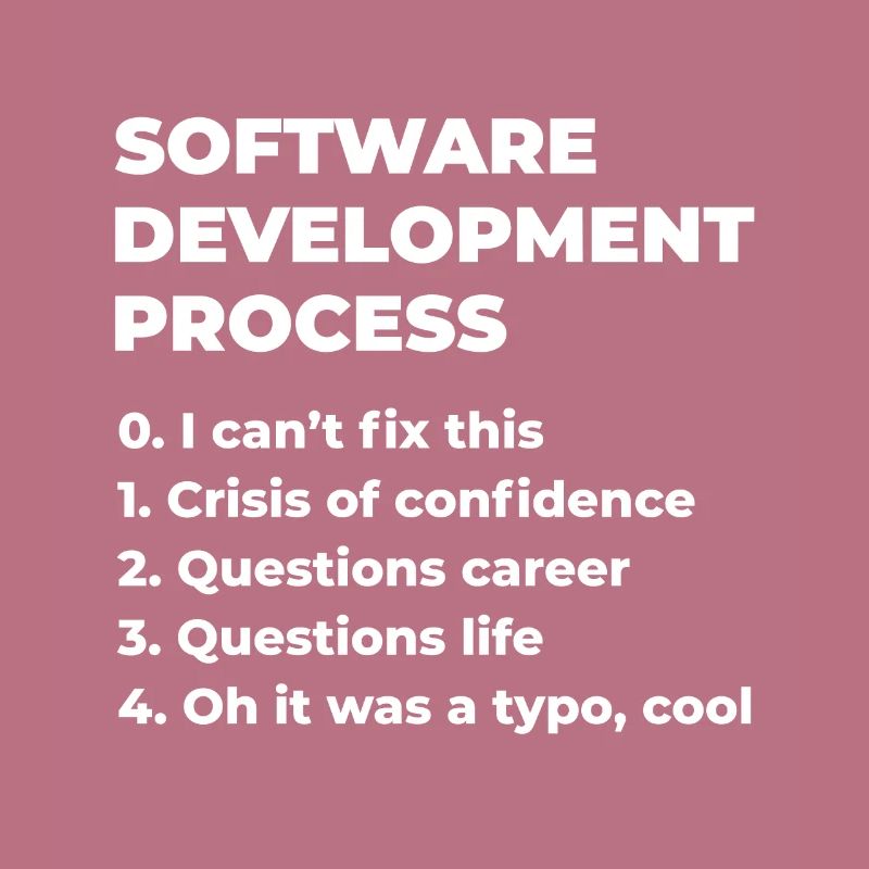 Software Development Process Programmer Coder Nerd