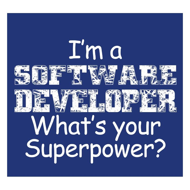 Software Developer
