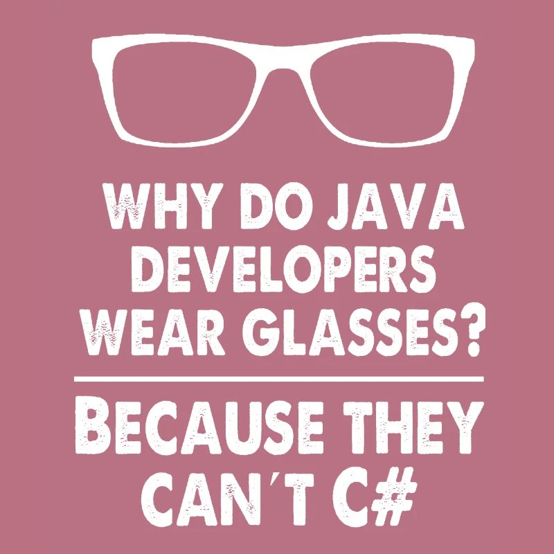 Developer Java