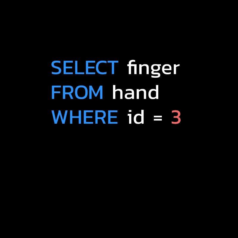 Funny SQL middle finger programmer