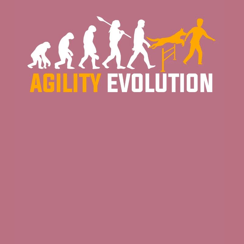 Evolution de l'agilité
