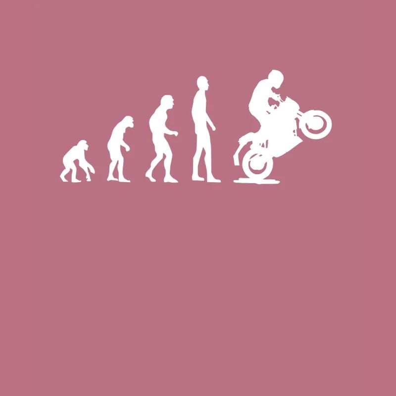 Evolution motorcycle