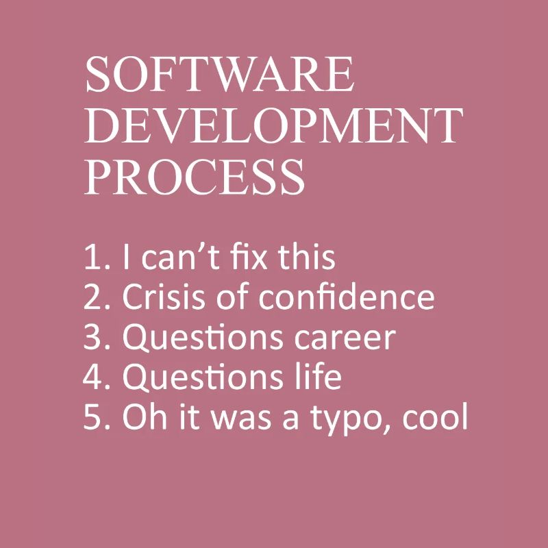 Web Developer Software Development Process Javascr