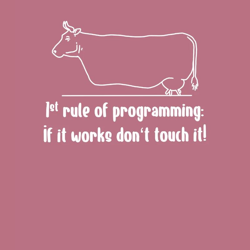Data Scientist Software Developer Funny