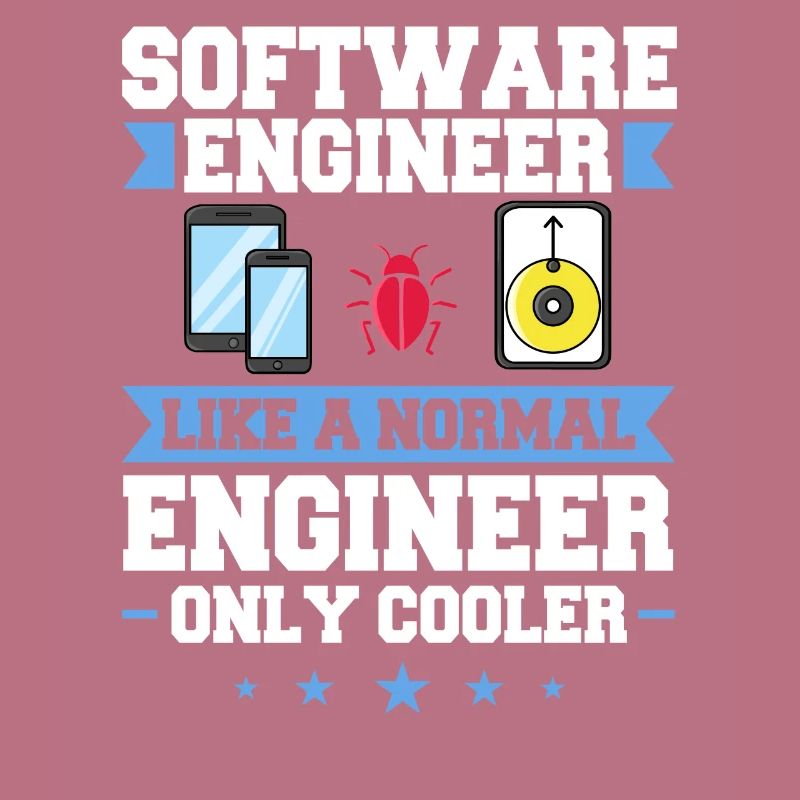 Software Engineering Software Engineering Engineer