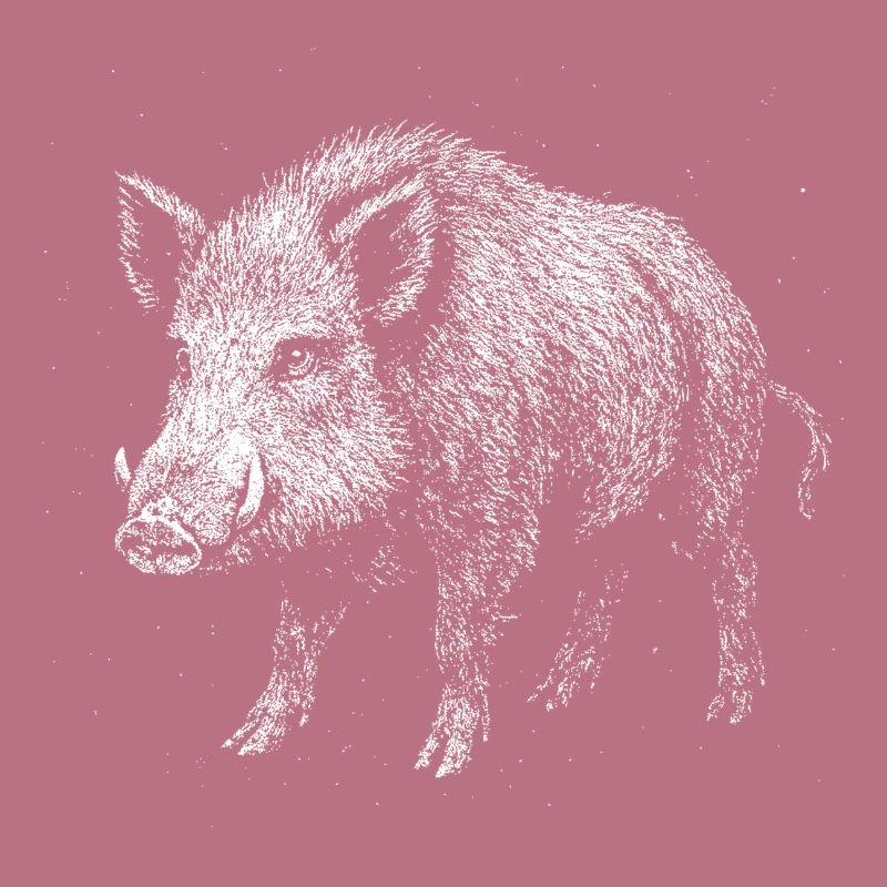 Wild boar