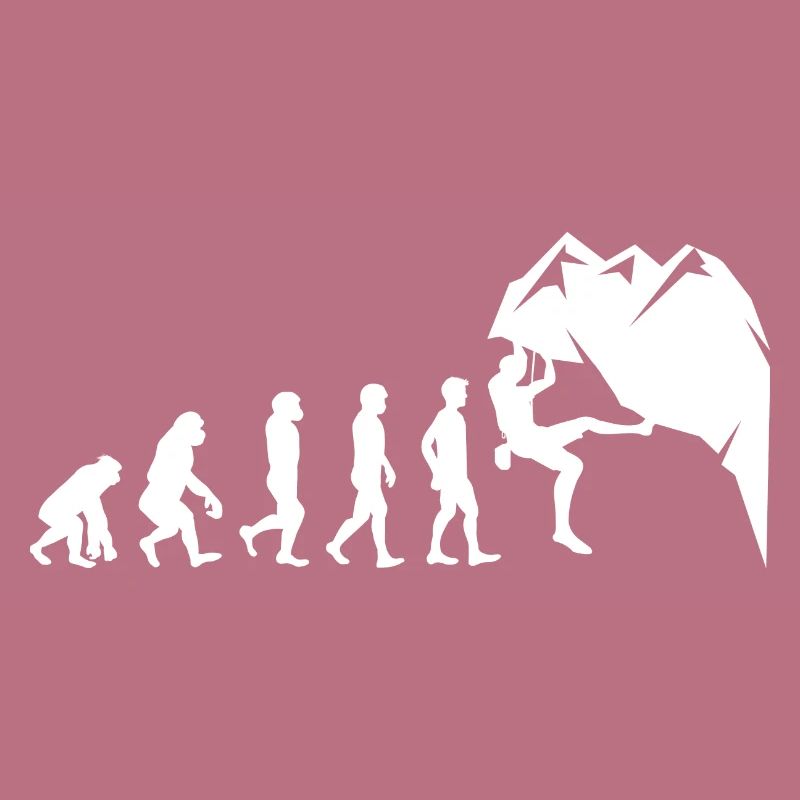 Rock Climbing Bouldering Wall Climber Evolution