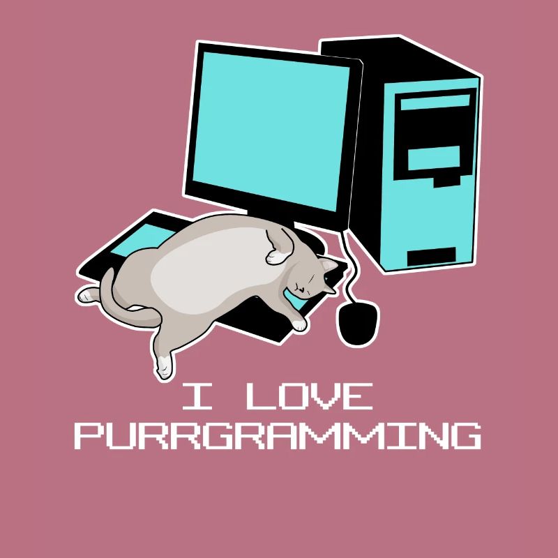 Programmierer Admin Computer Katze