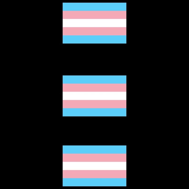 Trans Pride Flags  
